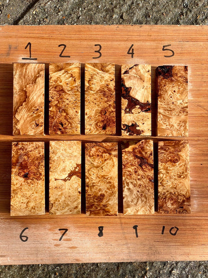 Stabilised Horse Chestnut Burr Handle Blocks-KWB Knives