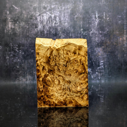 Stabilised Horse Chestnut Burr Block