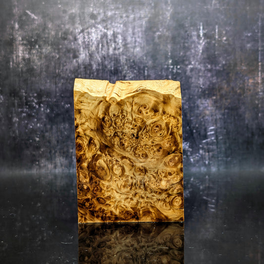 Stabilised Horse Chestnut Burr Block