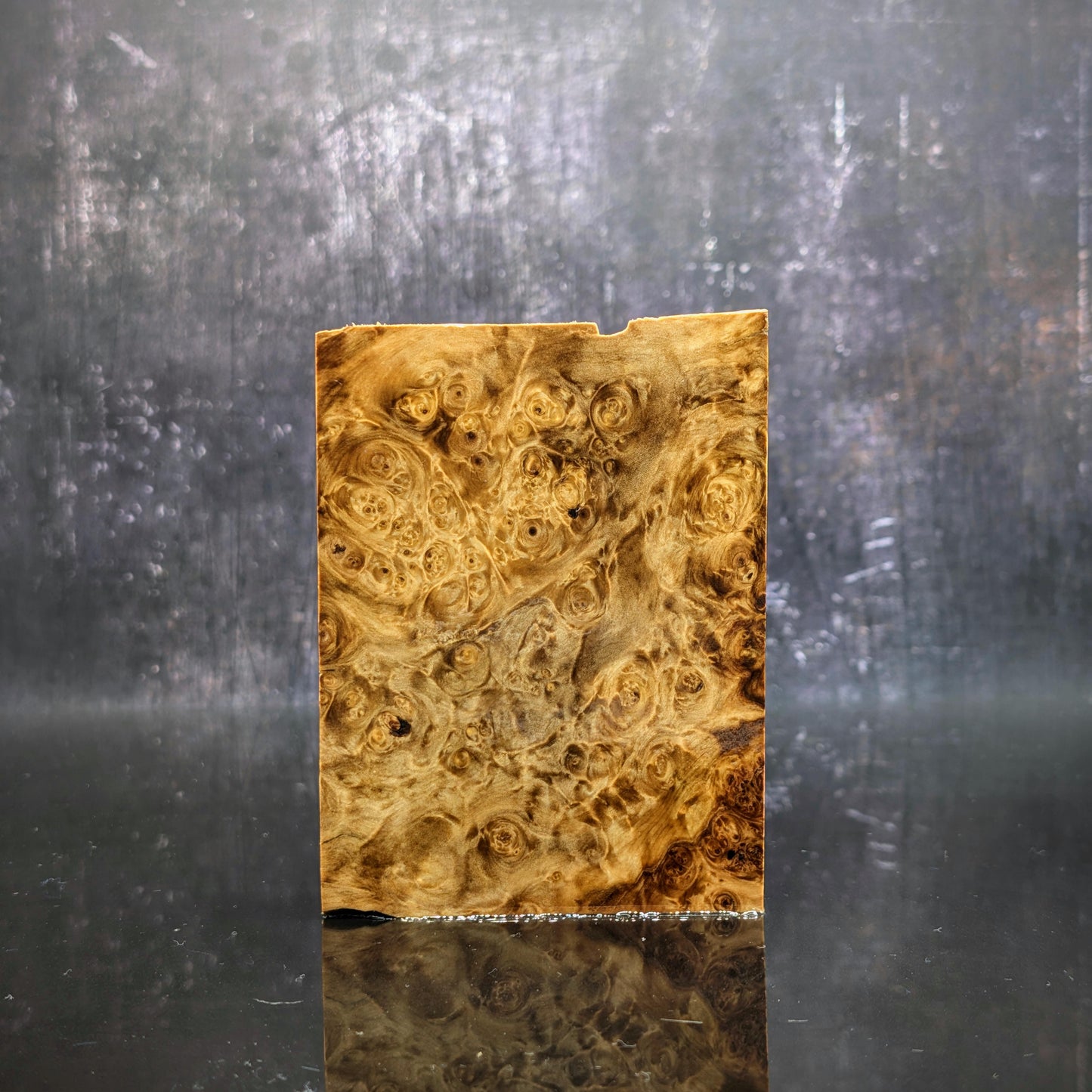 Stabilised Horse Chestnut Burr Block