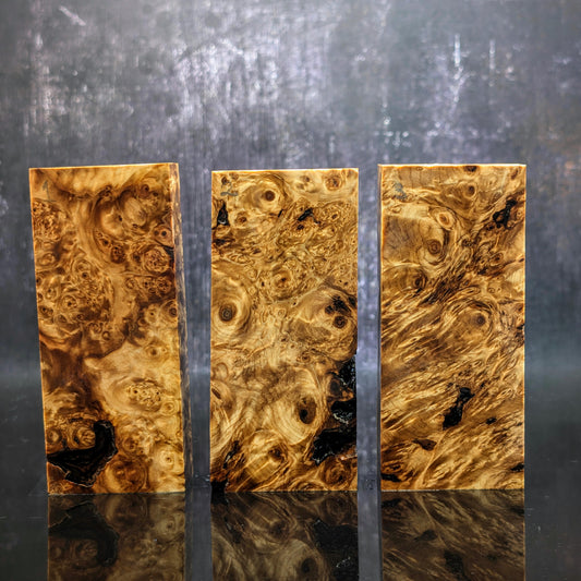 Stabilised Horse Chestnut Burr Handle Blocks With Character
