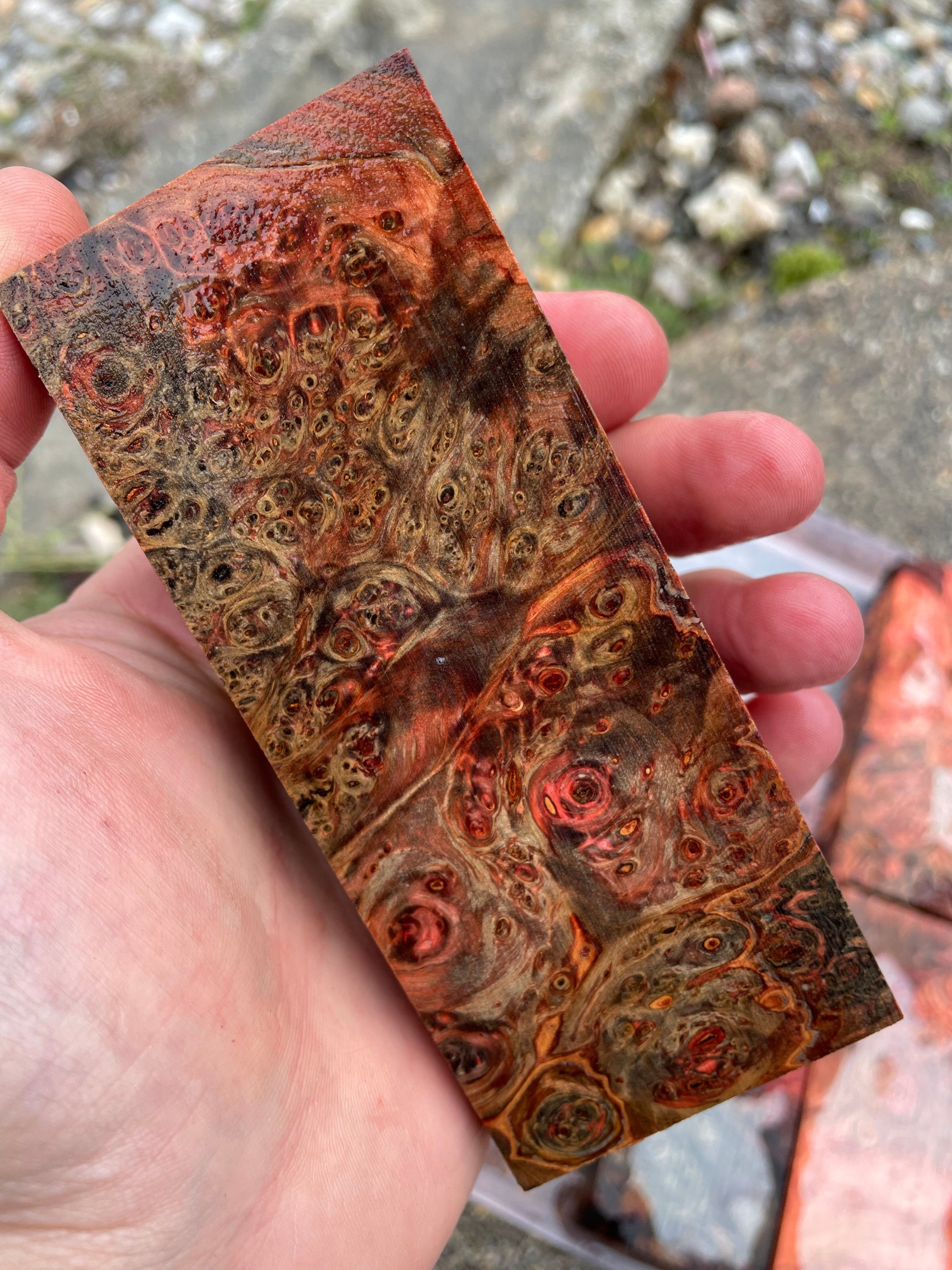 Stabilised Horse Chestnut Burr Handle Block